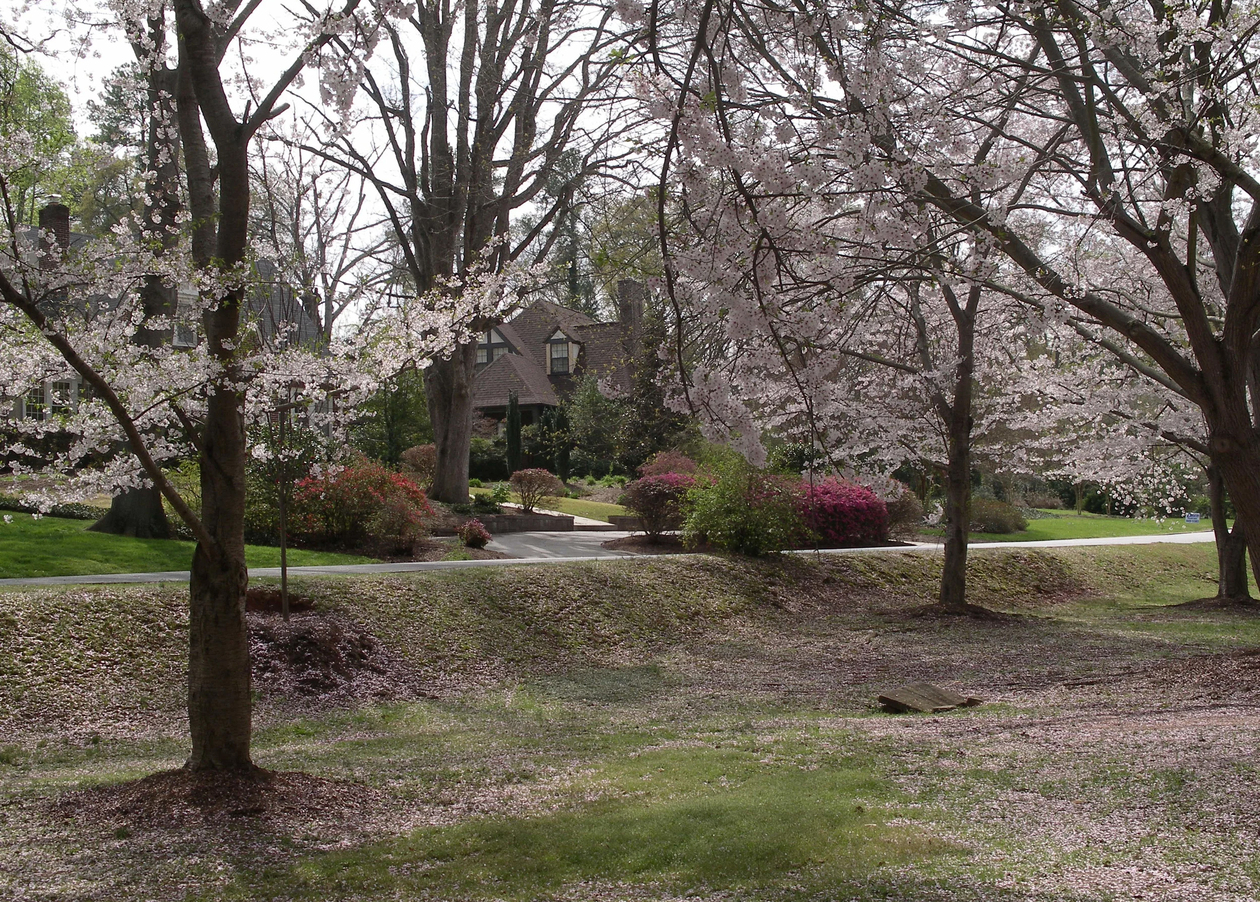 Honoring the past, strengthening today